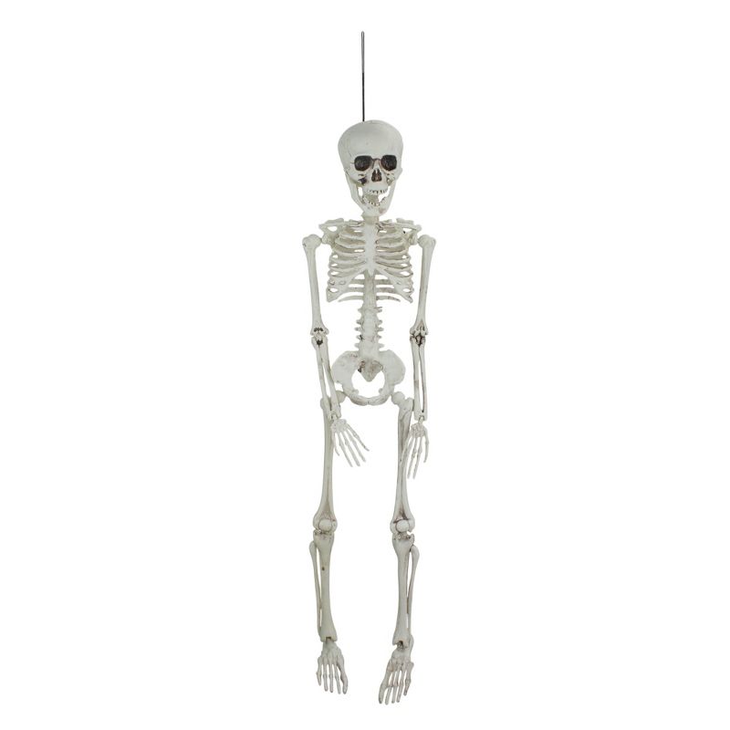 Northlight 20" Jointed Skeleton Hanging Halloween Decoration, 1 of 5