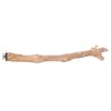 Prevue Pet Products 18 inch Straight Branch Coffea Wood Bird Perch 1042 - 2 of 3