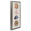 Stupell Industries Traditional Nautical Sea Shells, 15" x 31" - 3 of 4