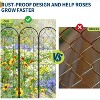 22x75in Metal Garden Trelli, Climbing Plant Support for Rose, Vine, Vegetable, Outdoor Arch Trelli for Patio, Yard, Vertical Gardening, 2Pcs - 3 of 4