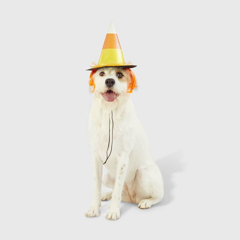 Candy Corn Witch Hat Dog and Cat Costume - Hyde & EEK! Boutique™, 5 of 9