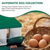 Chicken Nesting Boxes with Cleanable Pull-Out Trays, 4-Hole Wall Mount Roll Away Nest for Easy Cleaning & Egg Collection - 4 of 4