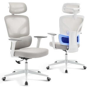 Office Chair Ergonomic Desk Chair - Home Mesh Office Desk Chair with Adjustable Lumbar Support, Rolling Swivel Task Chairs for Home, Office - 1 of 4