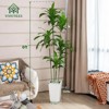 6FT Dracaena Draco Artificial Dragon Tree Realistic Dracaena Fragrans Faux Tree with White Pot for Home Office Indoor Outdoor Decor - 2 of 4