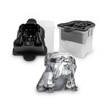 Williams Sonoma Heart Ice Cube Tray with Lid