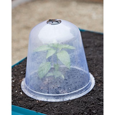 Gardeners Supply Company Large Garden Cloche Plant Protector | Clear Sturdy PVC Plants Bell Dome Heat & Freeze Cover with Top Hole Ventilation for Young Plants & Seedlings | 13"D X 12"H (Set of 3)