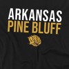 Men's University of Arkansas at Pine Bluff Official Stacked T-Shirt - 2 of 4