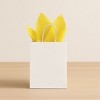 Beistle Yellow Tissue Paper Sheets, 20" x 20", Pack of 96 Sheets - 4 of 4
