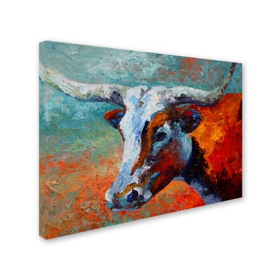 Trademark Fine Art -Marion Rose 'Young Longhorn' Canvas Art