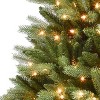 6.5ft Pre-lit Artificial Christmas Tree Davenport Fir - 3 of 4