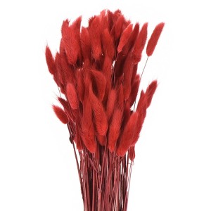 Unique Bargains Decorative Natural Dried Floral Bunny Tail Artificial Plants 120 Pcs - 1 of 4