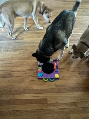 Brightkins Dj Doggo Puzzle Feeder Interactive Dog Treat Puzzles : Target