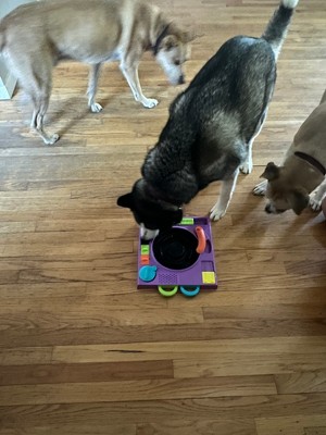 DJ Doggo Puzzle Feeder