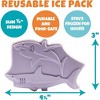 Bentology Lunch Bag Set w Matching Reusable Water Bottle & Hard Ice Pack- Blue Fish Sharks- Insulated Tote, Thermos, Hard Ice Pack- Kids, Boys & Girls - 4 of 4