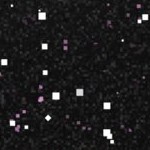 pittsburgh pirates 1958-1966