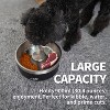 Allforpaws 3.8 Cups Anti-Skid Pet Bowl Feeder, Black - 4 of 4