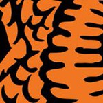 florida a&m rattlers