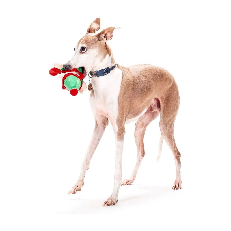 Midlee Christmas Elf Plush Dog Toy, 4 of 8