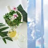 Glade Aerosol Room Spray Air Freshener - Cotton Cloud Dream - 8.3oz - image 2 of 4