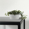Ecopots Frankfurt Durable Modern Round Indoor/Outdoor Recycled-Based Composite Flower Pot Planter - 3 of 4