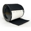 Nispira 2-in-1 True HEPA Replacement Filter for Air Purifier | Compatible with TaoTronics TT-AP008 | Remove Smoke, Dust, Pollen | 1 Pack - 3 of 4