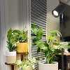 Fortune Candy 20W Standing Plant Grow Light, Full Spectrum Indoor Standing Lamp with COB Bulb for Houseplants - 2 of 4