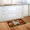 Briarwood Lane Fall Thanksgiving Doormat 30x18 Indoor Outdoor Thankful Chipmunks For Thanksgiving Doormat - 4 of 4