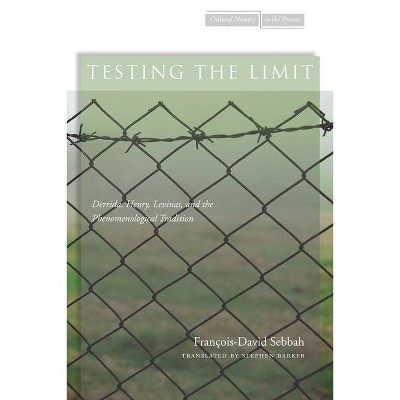 Testing the Limit - (Cultural Memory in the Present) by  François-David Sebbah (Paperback)