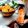 Angry Orange Ready To Use Orange Scented Pet Odor Eliminator - 20 fl oz - 3 of 4