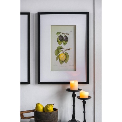 Set of 2 Black Framed Botanical Fruit Wall Art
