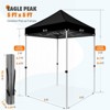 EAGLE PEAK 5x5ft Easy Setup Pop Up Canopy Folding Tent Sun Shelter UV50+ - 4 of 4