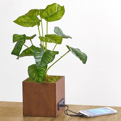 The Lakeside Collection Artificial House Plant - Fake Plant with USB Port