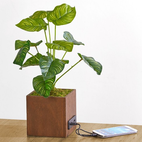 Fake Plants & Artificial Plants for Indoors : Target