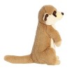 Aurora Eco Nation 10" Meerkat Brown Stuffed Animal - image 2 of 4