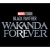 Boy's Black Panther: Wakanda Forever Metallic Movie Logo T-Shirt - 2 of 4