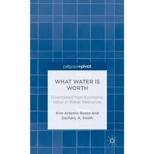 What Water Is Worth: Overlooked Non-Economic Value in Water Resources - (Palgrave Pivot) by  K Russo & Z Smith (Hardcover) - 1 of 1