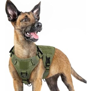 rabbitgoo Tactical Dog Harness for Small, Heavy Duty Pet Harness with Handle, No-Pull Service Vest Small Breed, Adjustable  Walking, Green, S - 1 of 1