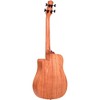 Gold Tone 25" Scale Fretless Acoustic-Electric MicroBass Natural - 4 of 4