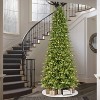 9ft Pre-lit Full Artificial Christmas Tree Forest Fir - Puleo - 3 of 3