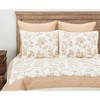 C&F Home 26" x 26" Harlow Cotton Euro Sham - Machine Washable - 3 of 4