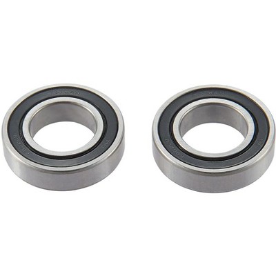 Ritchey WCS Rear Hub Bearing Kit: Vantage II