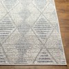 Hauteloom Pagatin Indoor & Outdoor Rug - 4 of 4
