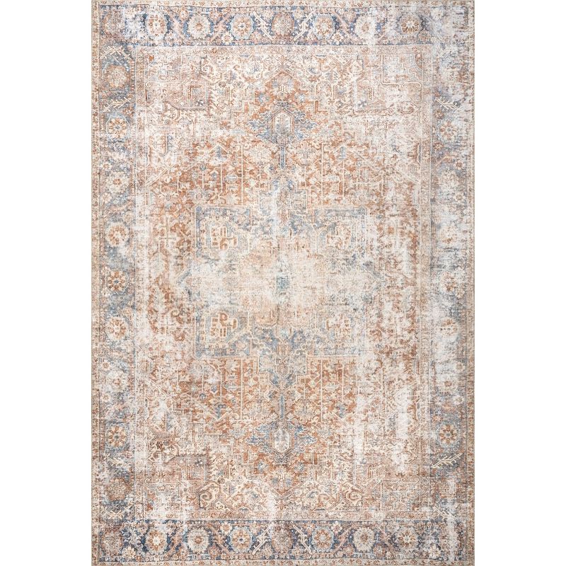 nuLOOM Brianna Traditional Distressed Area Rug, 1 of 11