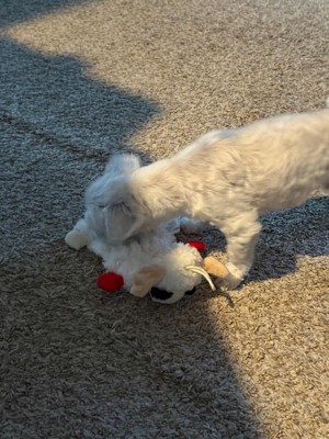 Guest review image 1 of 4, zoom in