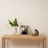 Bethany Young Photography Socal Shadows Framed Canvas - Society6 - 3 of 4
