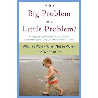 Is It a Big Problem or a Little Problem? - by  Amy Egan & Amy Freedman & Judi Greenberg & Sharon Anderson (Paperback)