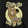 Boys’ Scooby Doo Where Are You Hooded Sweatshirt - 2 of 4