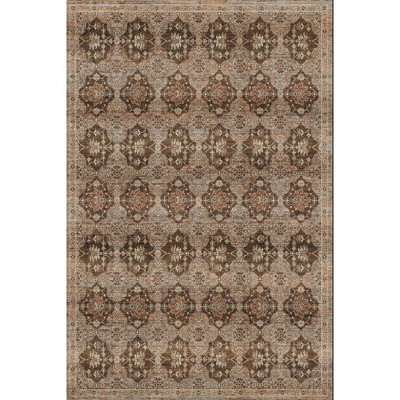 Boho Vintage Area Rug Colorful Floral Farmhouse Carpet Traditional Rug for Living Room, Bedroom