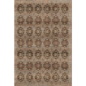 Boho Vintage Area Rug Colorful Floral Farmhouse Carpet Traditional Rug for Living Room, Bedroom - 1 of 1