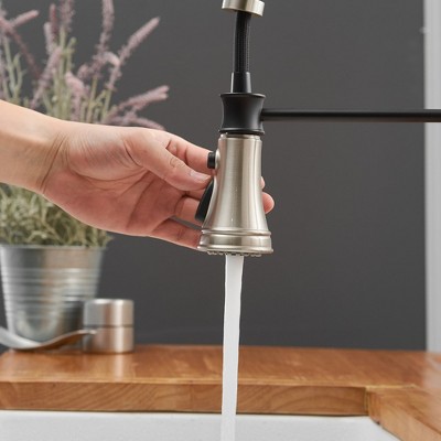 Brushed Nickel and Black Pull-Down Kitchen Faucet with Deck Plate